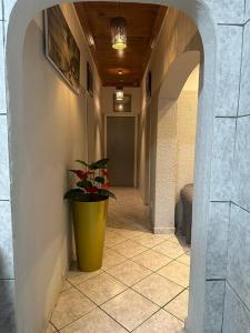 a hallway with a large yellow pot with a plant in it at ALEXIA LODGE & SPA in Cape Town