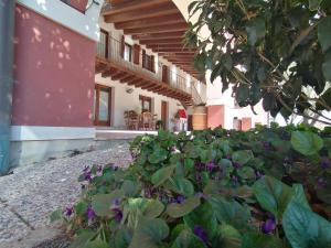 Zahrada ubytování Agriturismo Il Salice Ridente