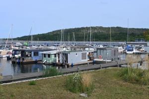 BraunsbedraにあるSeeHausboot/Geiseltalsee inkl. 2 SUPs und Kanuのギャラリーの写真 +22枚の写真