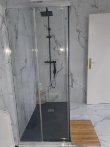 eine Dusche mit Glastür im Bad in der Unterkunft Las cerezas in Los Llanos de Aridane