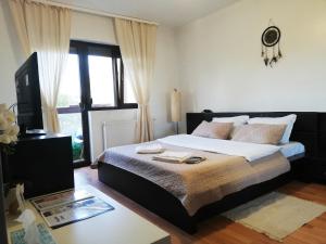 Un dormitorio con una cama grande y una ventana en Cozy villa, close to the center of Bucharest., en Bragadiru