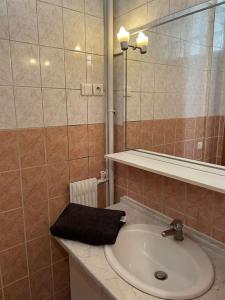 een badkamer met een wastafel en een spiegel bij Studio Gentilly/Paris 14 in Gentilly