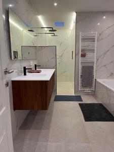 een badkamer met een witte wastafel en een douche bij Astrid in Mechelen