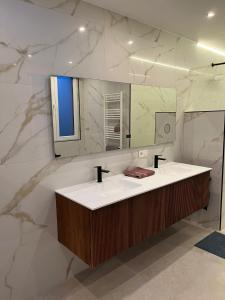 een badkamer met een wastafel en een spiegel bij Astrid in Mechelen