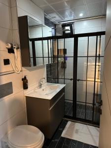 W łazience znajduje się toaleta, umywalka i prysznic. w obiekcie MARASIUM SUITES w Kahramanmaras