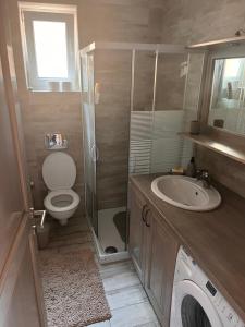 a bathroom with a toilet and a sink and a washing machine at Kuća za odmor “Viola” in Vukovar
