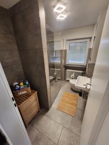 a bathroom with a shower and a sink at Apartment am Südhang 2 in Dinkelsbühl