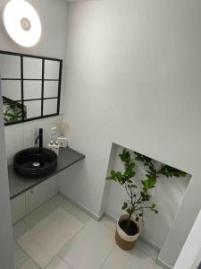 a bathroom with a sink and a potted plant at Gartenparadies Ferienhaus in Singen