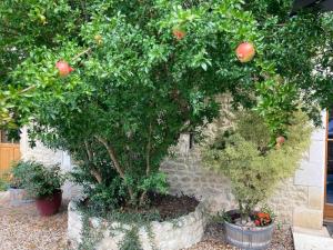 Jardín al aire libre en Stunning rural gem with pool in southwest France
