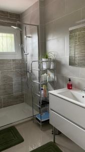 a bathroom with a shower and a sink and a tub at Chambres Quiétude in Chavanoz +12 photos