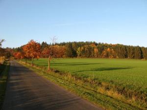 una carretera junto a un campo verde con árboles en Ferienwohnung Prior, en Bad Emstal