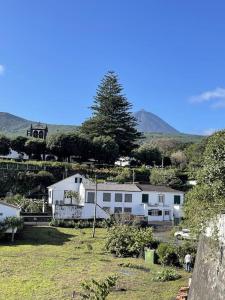 a white house in a field with a tree at Casa da Esquila Ilha do Pico 2 in Cais do Pico