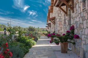 Zahrada ubytování Esperanza Villas