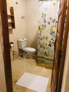 a bathroom with a toilet and a shower curtain at Eswan Hotel in Siwa