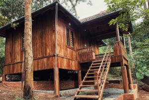 uma casa na árvore na floresta com uma escada em Mahout Resort Wayanad - An Experiential Jungle Stay with Waterfall em Kalpetta