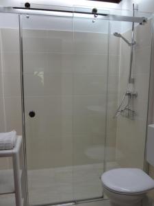 a bathroom with a glass shower with a toilet at Ferienwohnung Martens in Fockbek