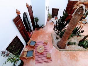 einen Blick über ein Wohnzimmer mit einer Palme in der Unterkunft Riad Dar Nouba in Marrakesch