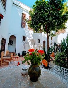 The building in which a riádokat is located