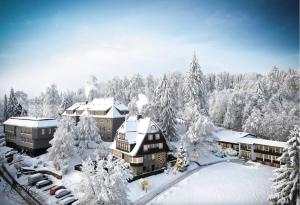 ein Resort in einem verschneiten Wald mit schneebedeckten Bäumen in der Unterkunft THE HEARTS HOTEL - dein Boutique- und Event-Resort in Braunlage