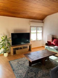 a living room with a large flat screen tv at Logement avec vue panoramique à 10min des pistes in Sauto