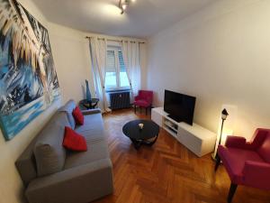 - un salon avec un canapé et une télévision dans l'établissement Appartement Strasbourg Cathédrale, à Strasbourg