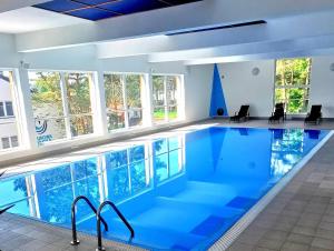 a large swimming pool with blue water in a building at Mały Dąbek in Poddąbie