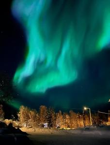 an aurora in the sky with trees and a street light at Wanha Tulli in Karesuvanto