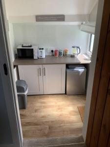 a small kitchen with a counter and a microwave at Awel Y Mor - cosy apartment. in Verwick