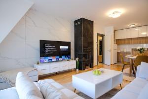 Kuchyň nebo kuchyňský kout v ubytování Lux Sara Apartments