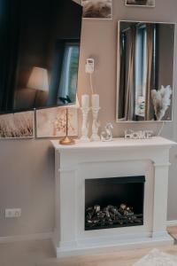 a living room with a fireplace with a mirror at Cottage an der Elbe Tespe Hamburg in Tespe