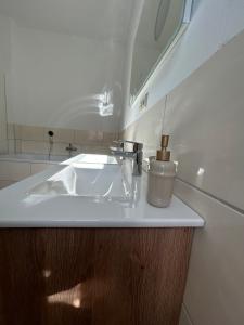 een badkamer met een wastafel en een spiegel bij zentrumsnah I WLAN I bis zu 5 Personen in Meißen