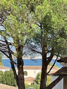 twee bomen voor een gebouw met water op de achtergrond bij CASA RAMA ST Tropez in Saint-Tropez