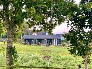 Zahrada ubytování B&B De Donk + 17 fotografií