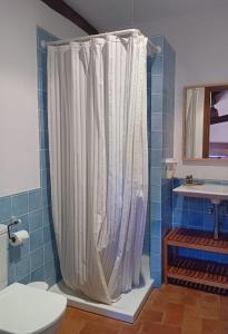 ein Bad mit einem Duschvorhang und einem Waschbecken in der Unterkunft Mas Regort in Vallfogona de Ripolles