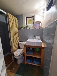 ein Badezimmer mit einem Waschbecken, einem WC und einem Spiegel in der Unterkunft Gîte Le Chalet in Gourdon