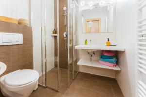 a bathroom with a shower and a toilet and a sink at Kamenhof in Weissensee