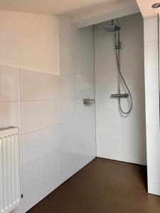 ein Badezimmer mit Dusche mit weißen Wänden in der Unterkunft Ferienwohnungen Am Kaufmannshof in Quedlinburg