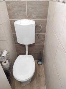 uma casa de banho com um WC branco num quarto em SIESTA vendégház em Kiskunhalas