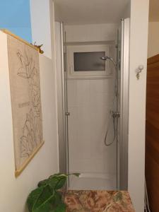 W łazience znajduje się prysznic ze szklanymi drzwiami. w obiekcie B&B Rosenrot 