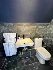 La salle de bains est pourvue de toilettes blanches et d'un lavabo. dans l'établissement Cozy Studio near Regent’s Park N9, à Londres