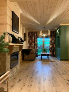 a living room with a couch and a fireplace at Apartament Zielony by Homeprime in Bukowina Tatrzańska