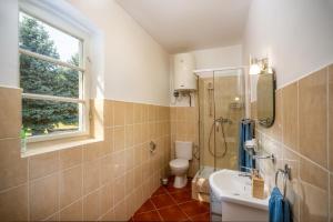 a bathroom with a toilet and a sink and a window at Dégi Festetics-kastély, Park Vendégház in Dég