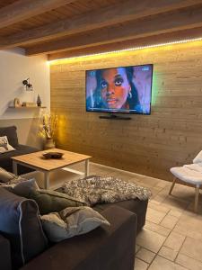 Una sala de estar con un sofá y un televisor de pantalla plana. en Domaine des oiseaux, en Sapois