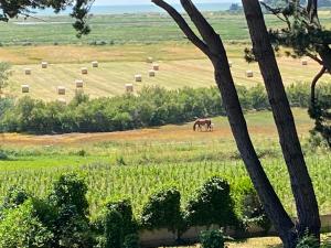 a horse grazing in a field with hay bales at Villa Vieilles Vignes vue mer in Billiers