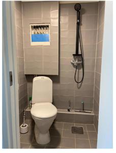 Liten koselig hybel i Gamle Oslo في أوسلو: حمام صغير مع مرحاض ودش