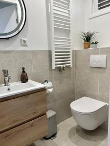 a bathroom with a toilet and a sink and a mirror at Amsterdam Beach Apartment 33, Private Garden in Zandvoort