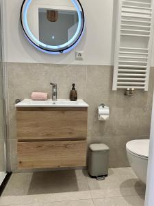 a bathroom with a sink and a mirror on the wall at Amsterdam Beach Apartment 33, Private Garden in Zandvoort