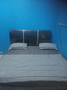 ein blaues Zimmer mit einem großen Bett mit zwei Kissen in der Unterkunft GASTRO HOMESTAY in Halangan