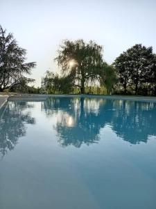 a large pool of water with trees in the background at Le Relais des Cigognes in Marlieux