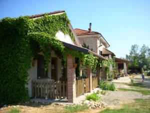 a house with ivy growing on the side of it at Cascina Beneficio in Castelnuovo Bormida